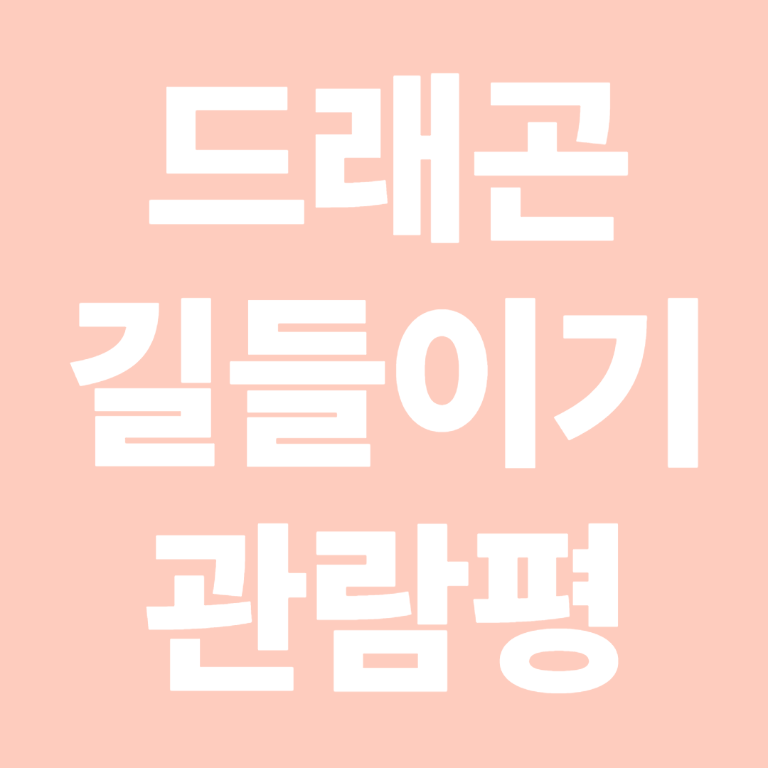 드래곤 길들이기 관람평