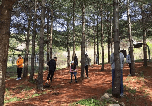 국립제천-치유의숲