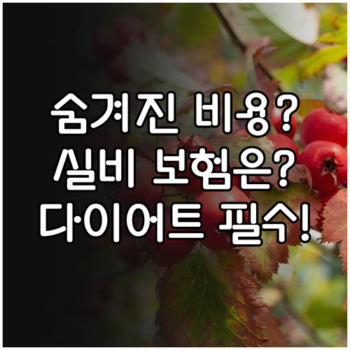 한의원 다이어트 숨겨진 초기 비용과 ..