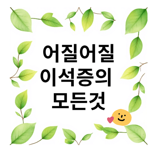 이석증의 모든것