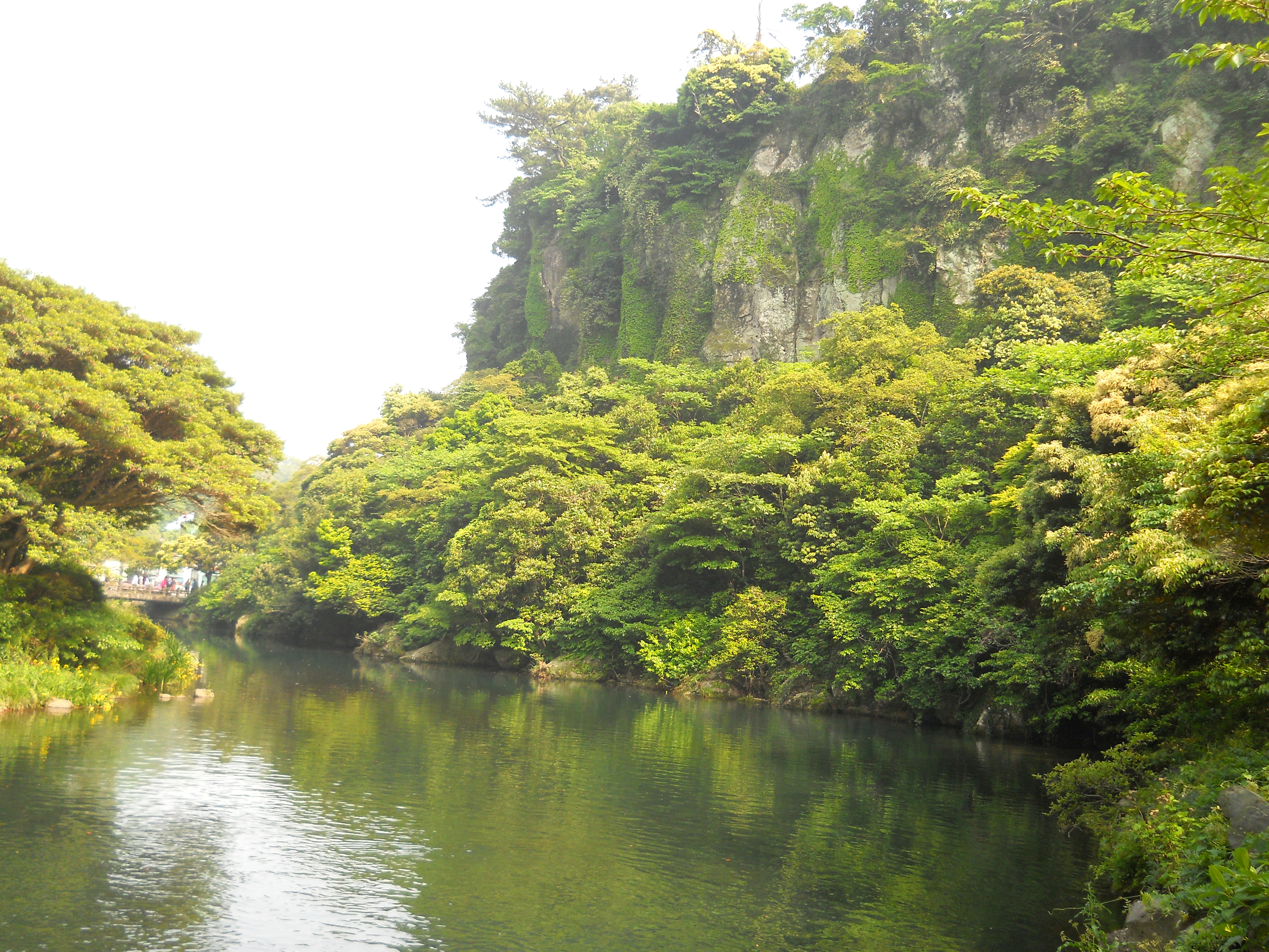 천지연폭포(Cheonjiyeon Pokpo Falls)
