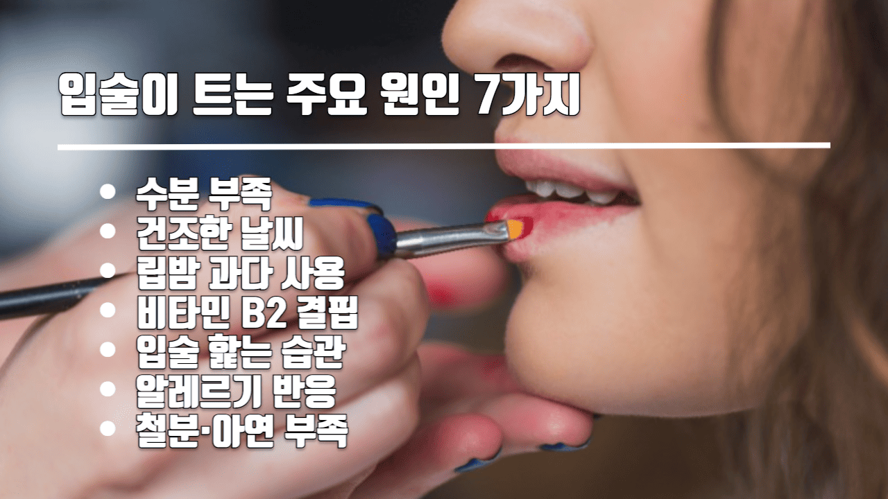인포그래픽
