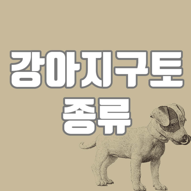 강아지구토원인 강아지구토종류