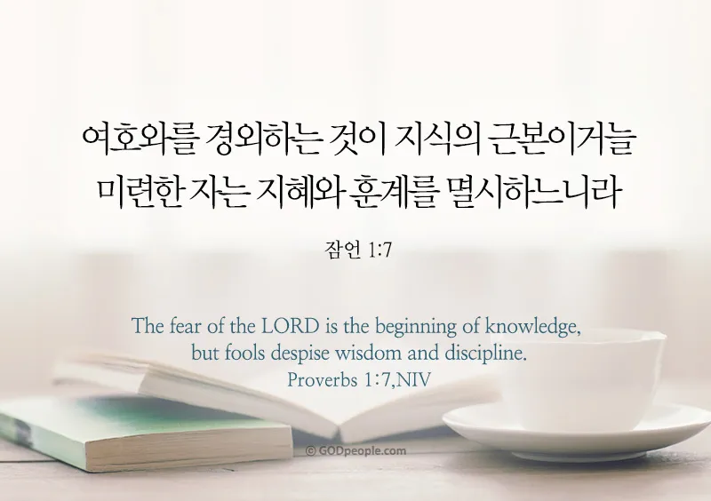 잠언 16장 9절 읽기 - 사람이 마음으로 자기의 길을 계획할지라도_6