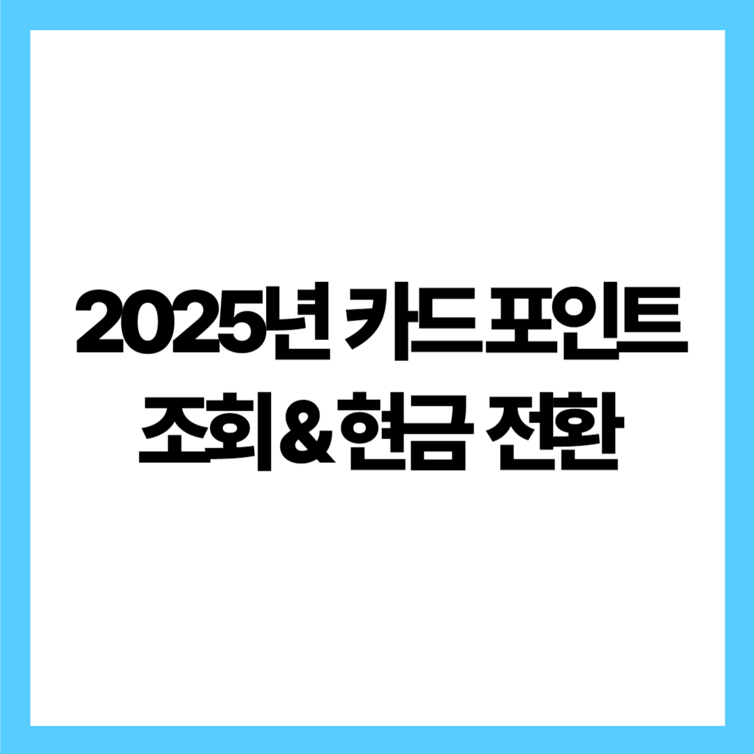 2025년 카드 포인트 조회 & 현금 전환, 1분이면 충분해요!