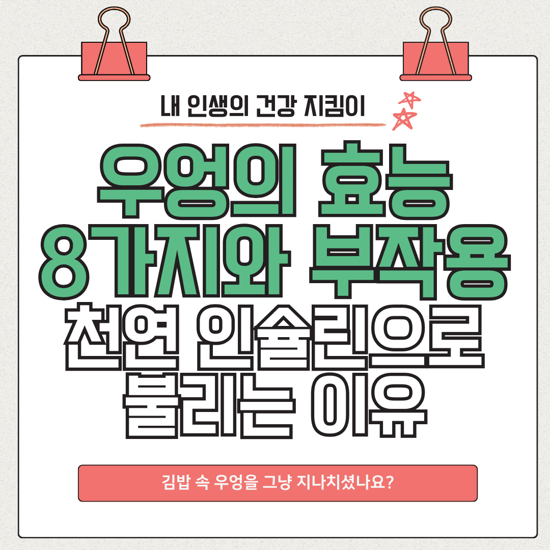 우엉 효능 8가지와 부작용 - 천연 인슐린으로 불리는 이유