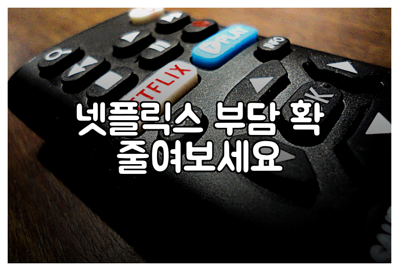 넷플릭스 부담 확 줄여보세요