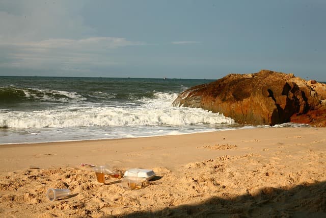 미래 도시를 위한 친환경 빈집 리노베이션 마스터플랜