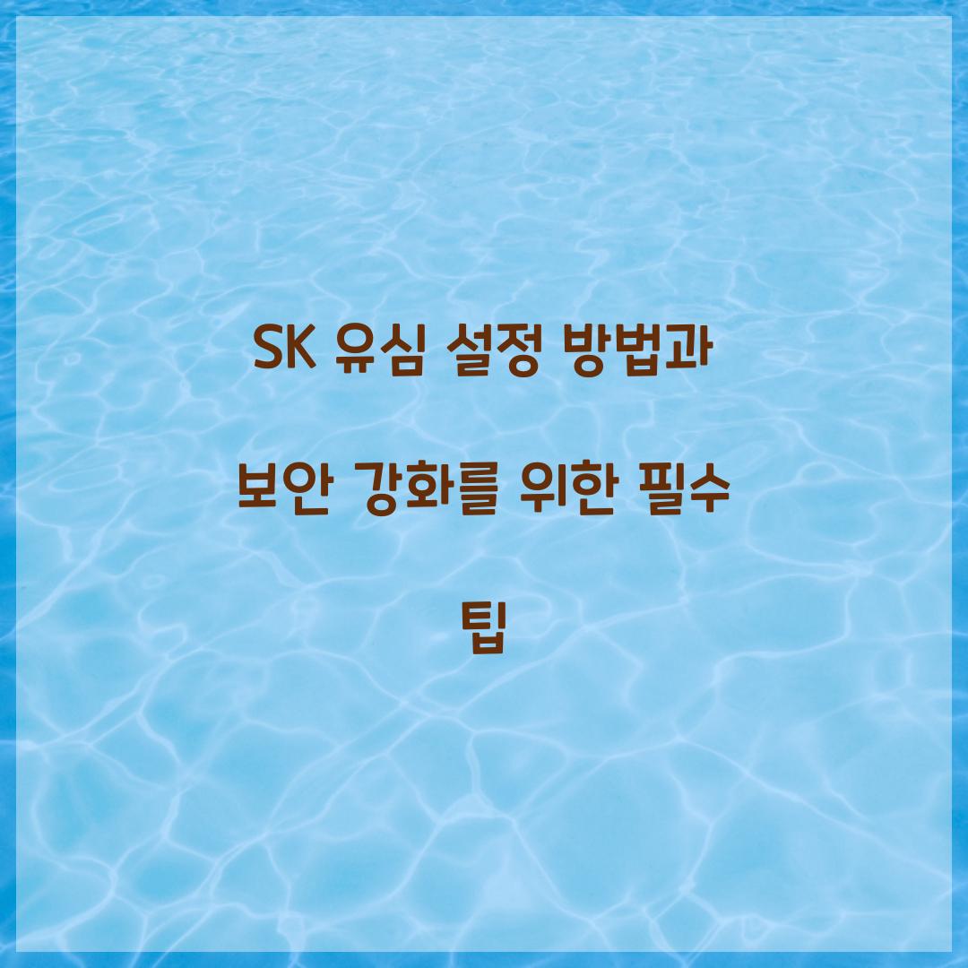 SK 유심 설정