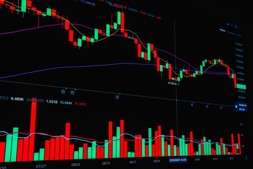 주식 차트 @pexels