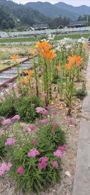 입구 전경