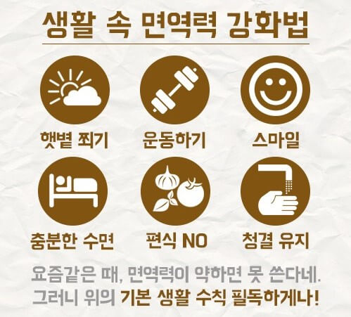 면역 강화