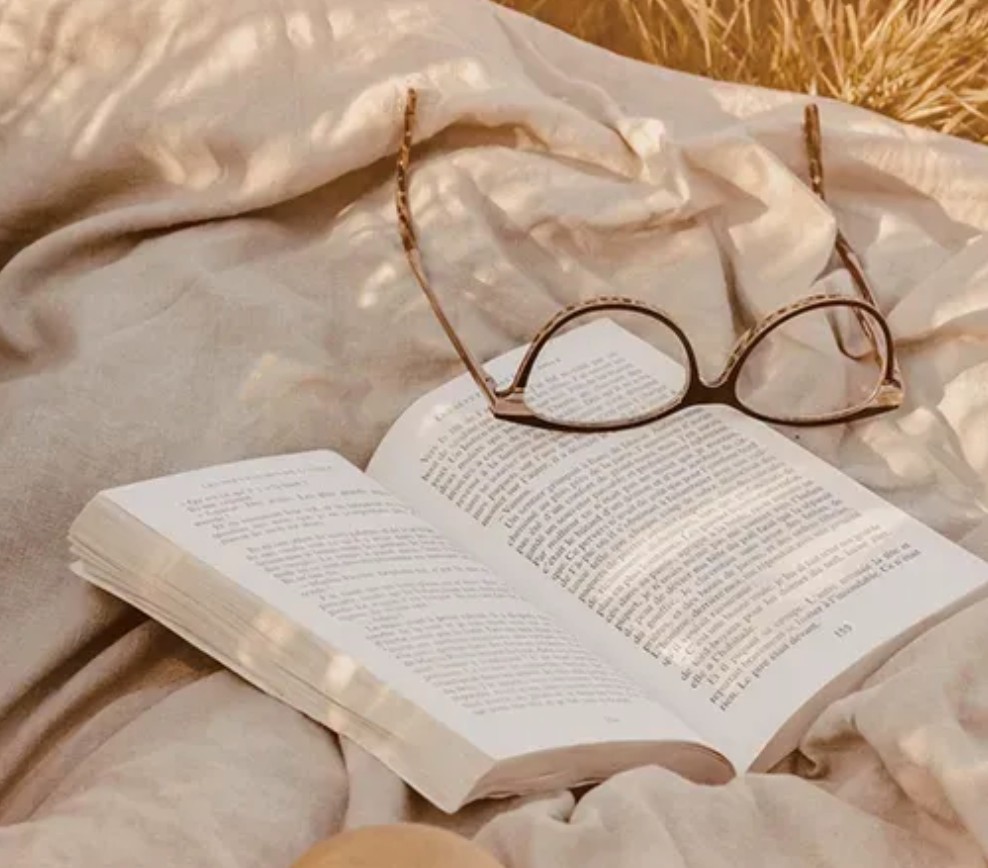 팬톤 올해의 컬러