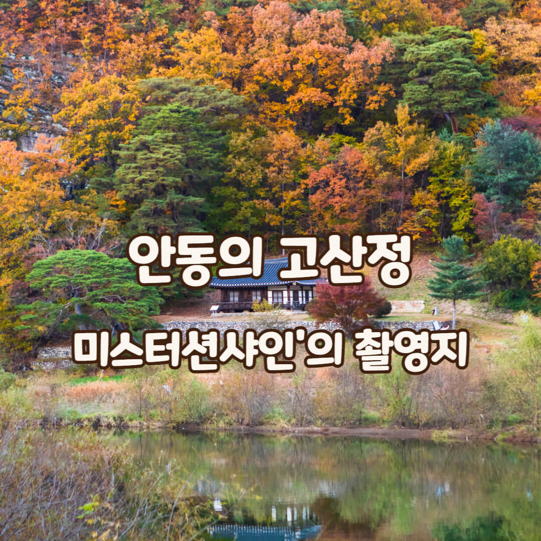 고산정