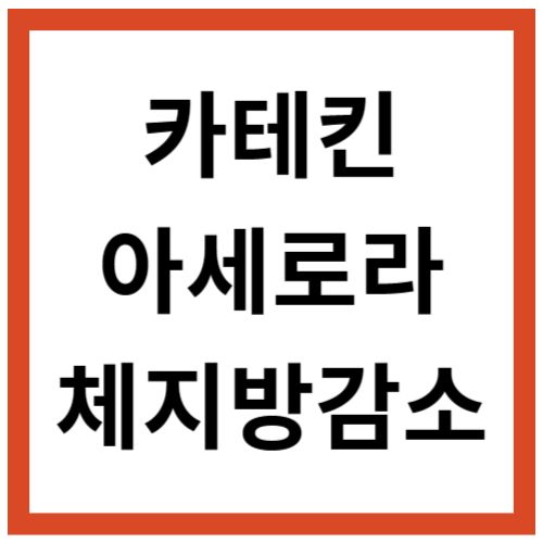 카테킨아세로라 추천 건강한 다이어트