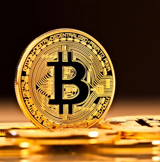 국회의원 코인 보유 종목 김남국 민주당 코인 리스트