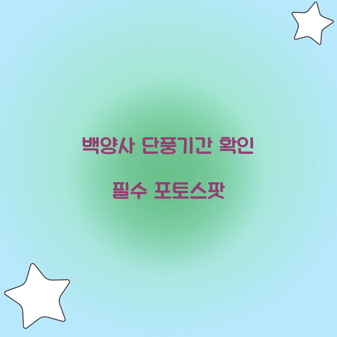 백양사 단풍기간