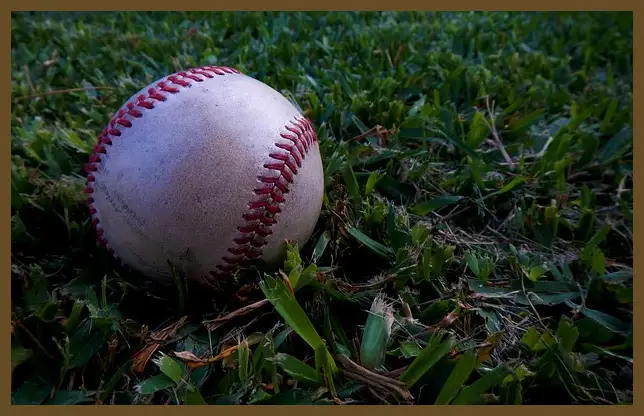 야구 일정 프리미어 12