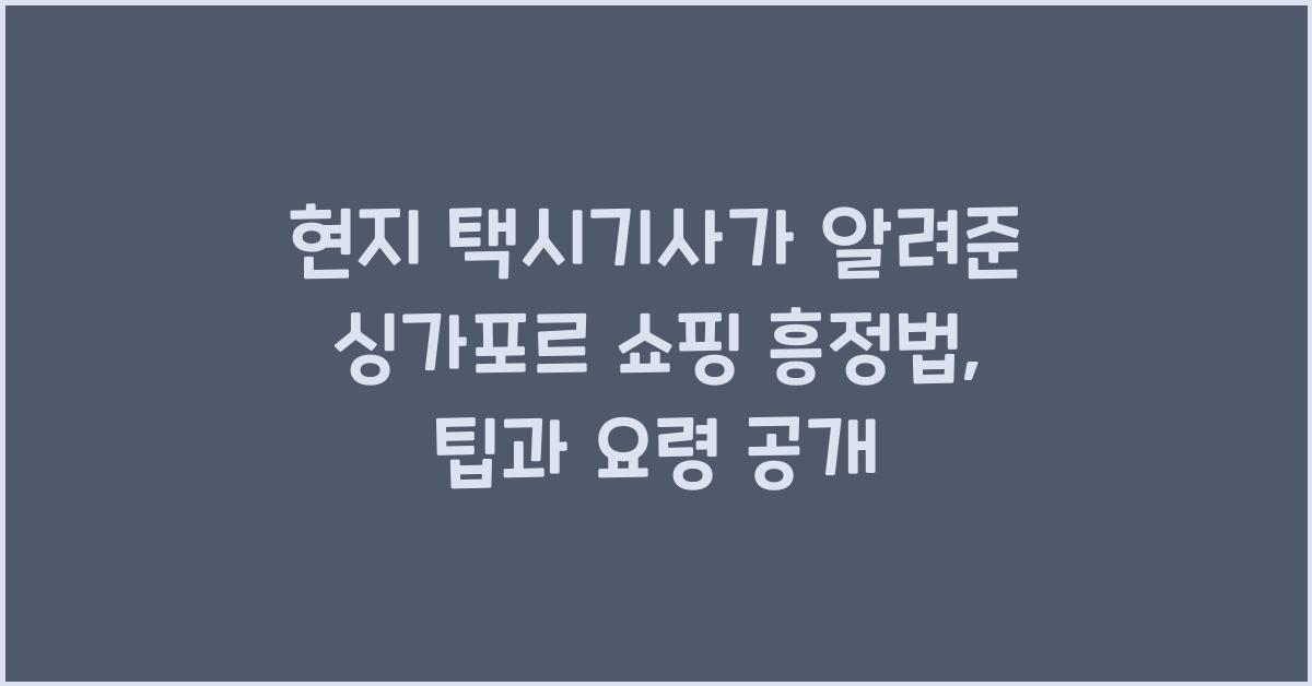 현지 택시기사가 알려준 싱가포르 쇼핑 흥정법