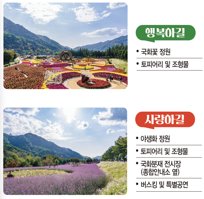 메인 꽃 밭 안내 