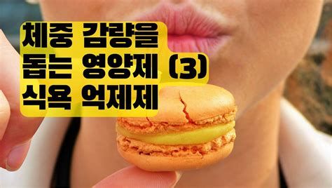 식욕억제제 완전 정리와 처방 받는 방법