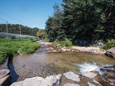 무수골
무수골마을
무수골 계곡