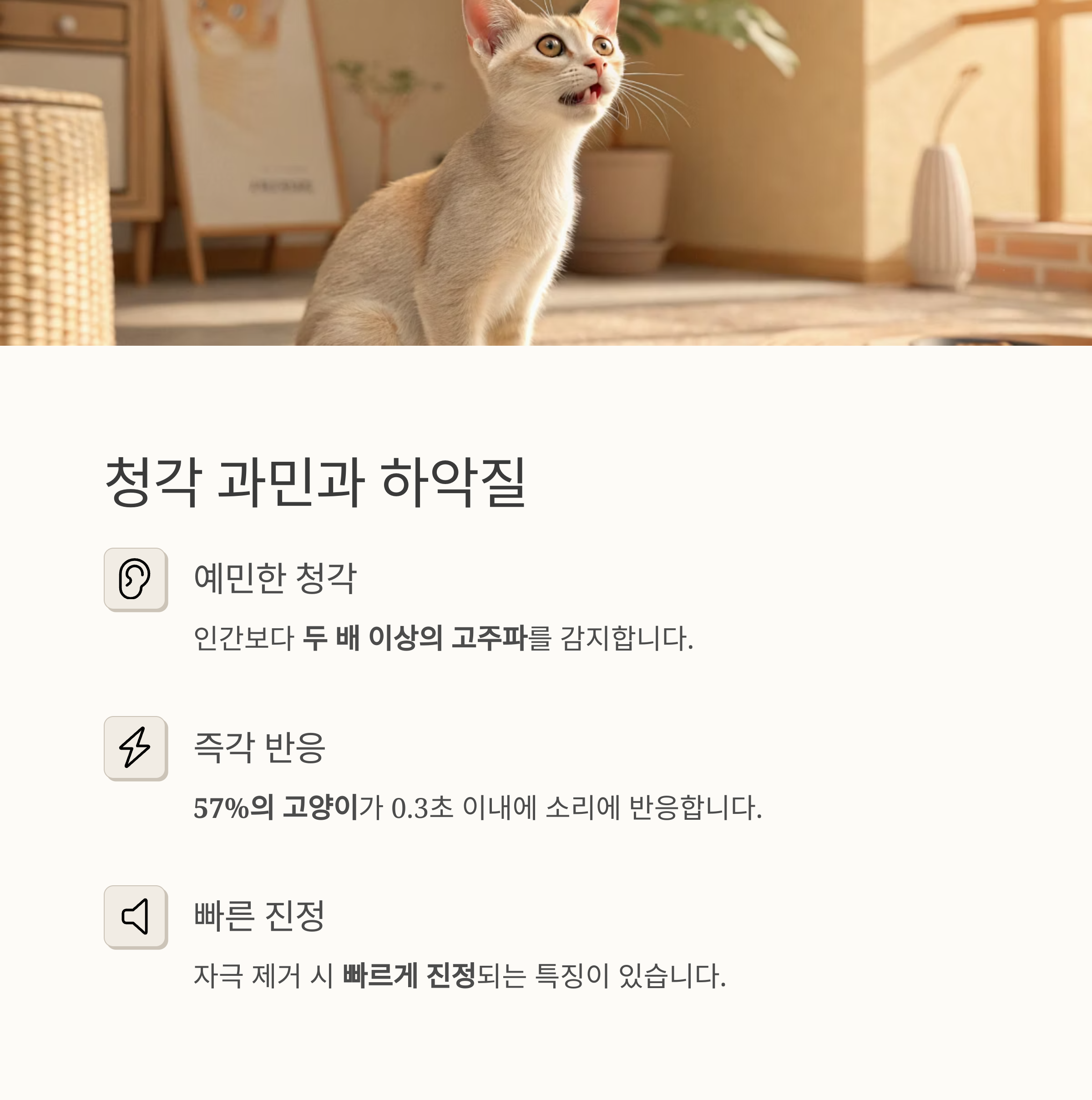 청각 과민과 하악질