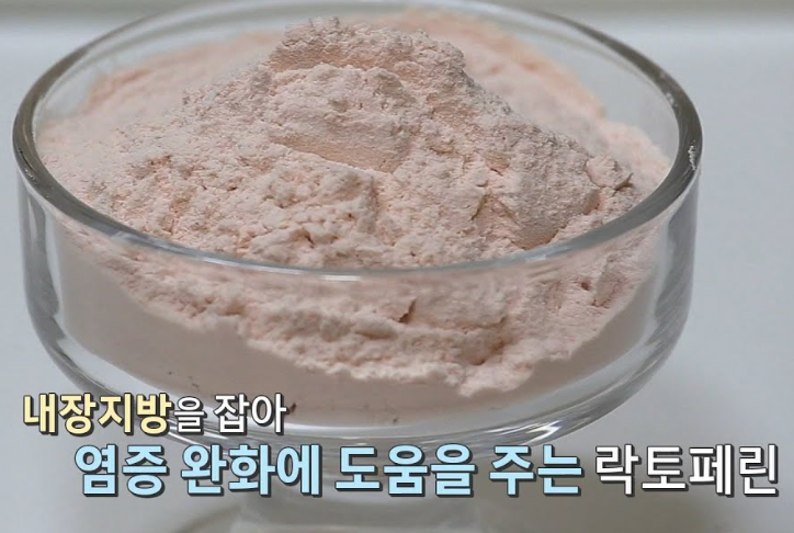 락토페린 효능