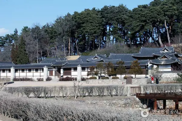 강릉 오죽헌 신사임당 율곡 이이 생가 전통 한옥과 검은 대나무 정원 풍경