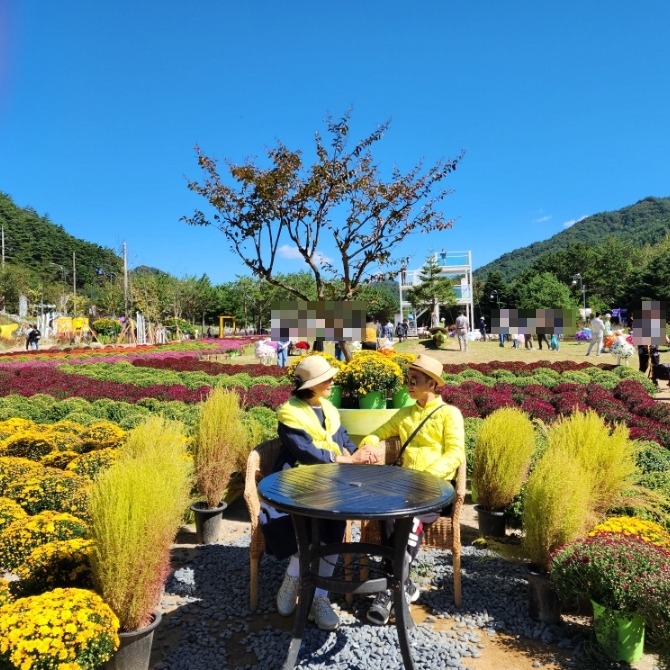 장성 황룡강 가을꽃축제 2025, 가수, 기본정보, 리뷰, 라인업, 개막식, 초대가수, 주차, 후기