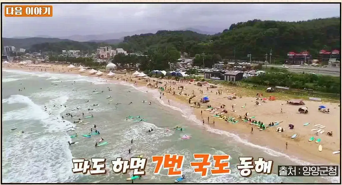 식객 허영만 백반기행 159회 류시원 편 참가자미 세꼬시 회와 가자미 구이, 전복, 해삼, 멍게 해산물 맛있는 식당 강원도 양양 남애항 맛집 소개