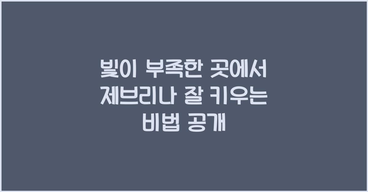 빛이 부족한 곳에서 제브리나 키우는 비법