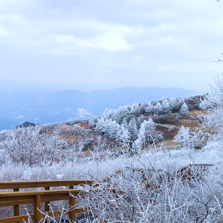팔공산 비로봉 가는길