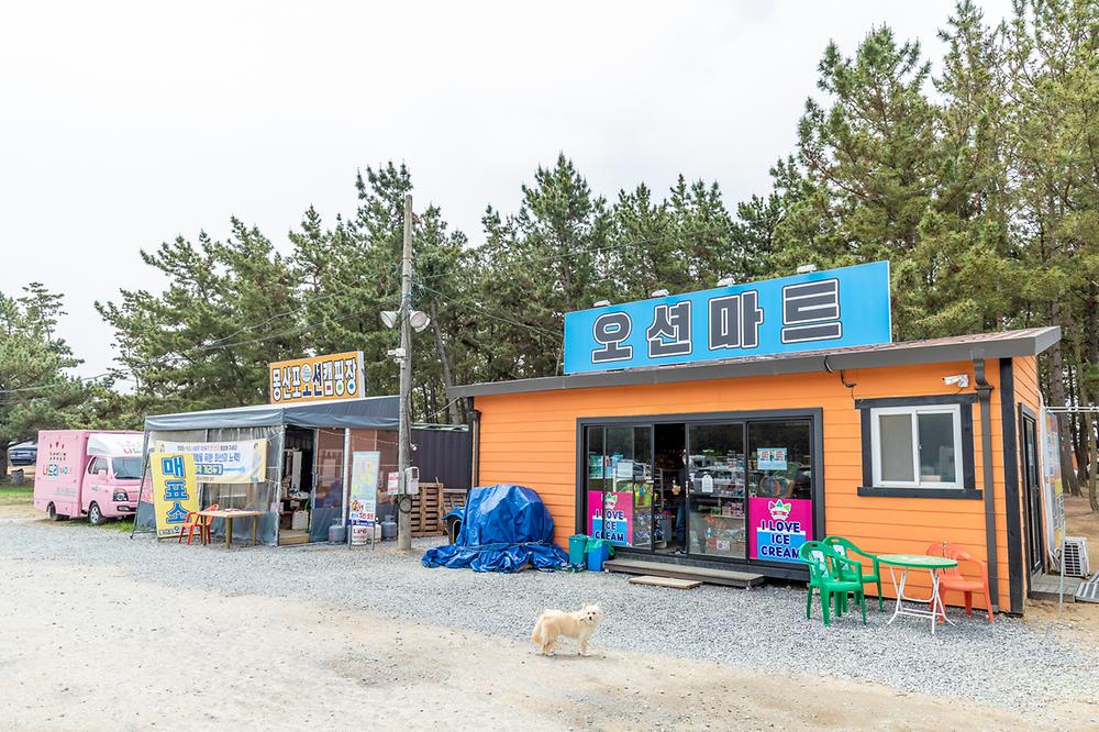 태안군 몽산포오션캠핑장 소개