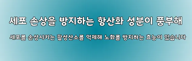  세포 손상을 방지하는 항산화 성분이 풍부해 세포를 손상시키는 활성산소를 억제해 노화를 방지하는 효능이 있습니다