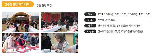 24년 구례 산수유꽃축제 주차 개막공연 일정 CCTV