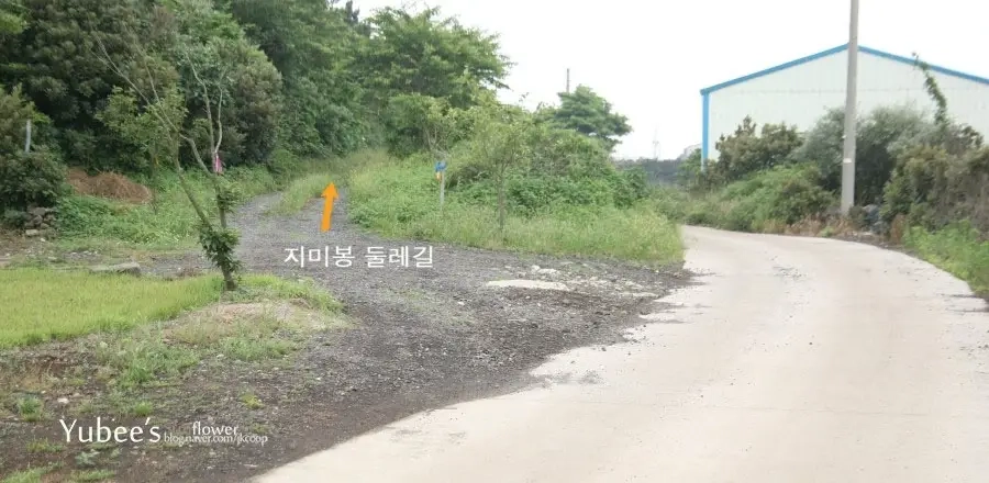지미봉 둘레길 숲길 끝부분