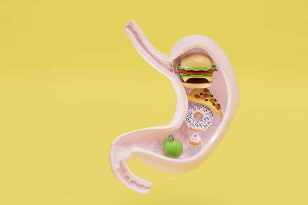 장염 증상 지금 이런 증상들이 있나요? 요즘에 아이나 어른 누구나 걸리고 있는 질환이 장염입니다. 장염이라고 하면 일단 세균성 염증인데요~ 장염 증상이 어떤 것들이 있는지 확인해 보세요