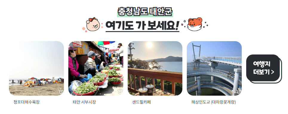 충남 태안군 여행지 추천