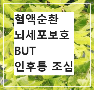 당귀잎