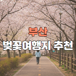 부산 벚꽃여행지 추천