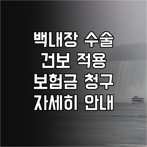 백내장 수술 건강보험 적용 조건 및 ..