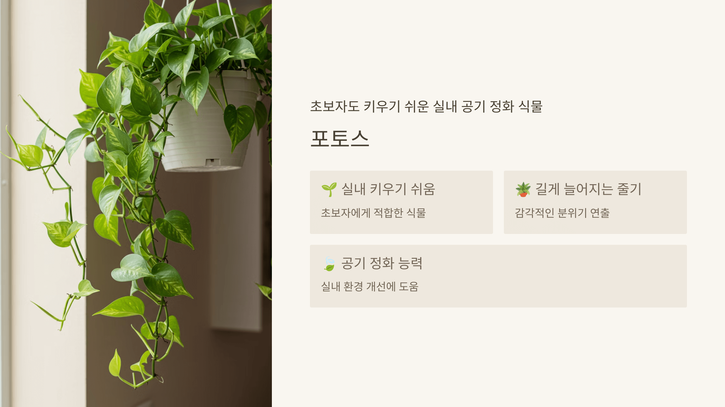 포토스