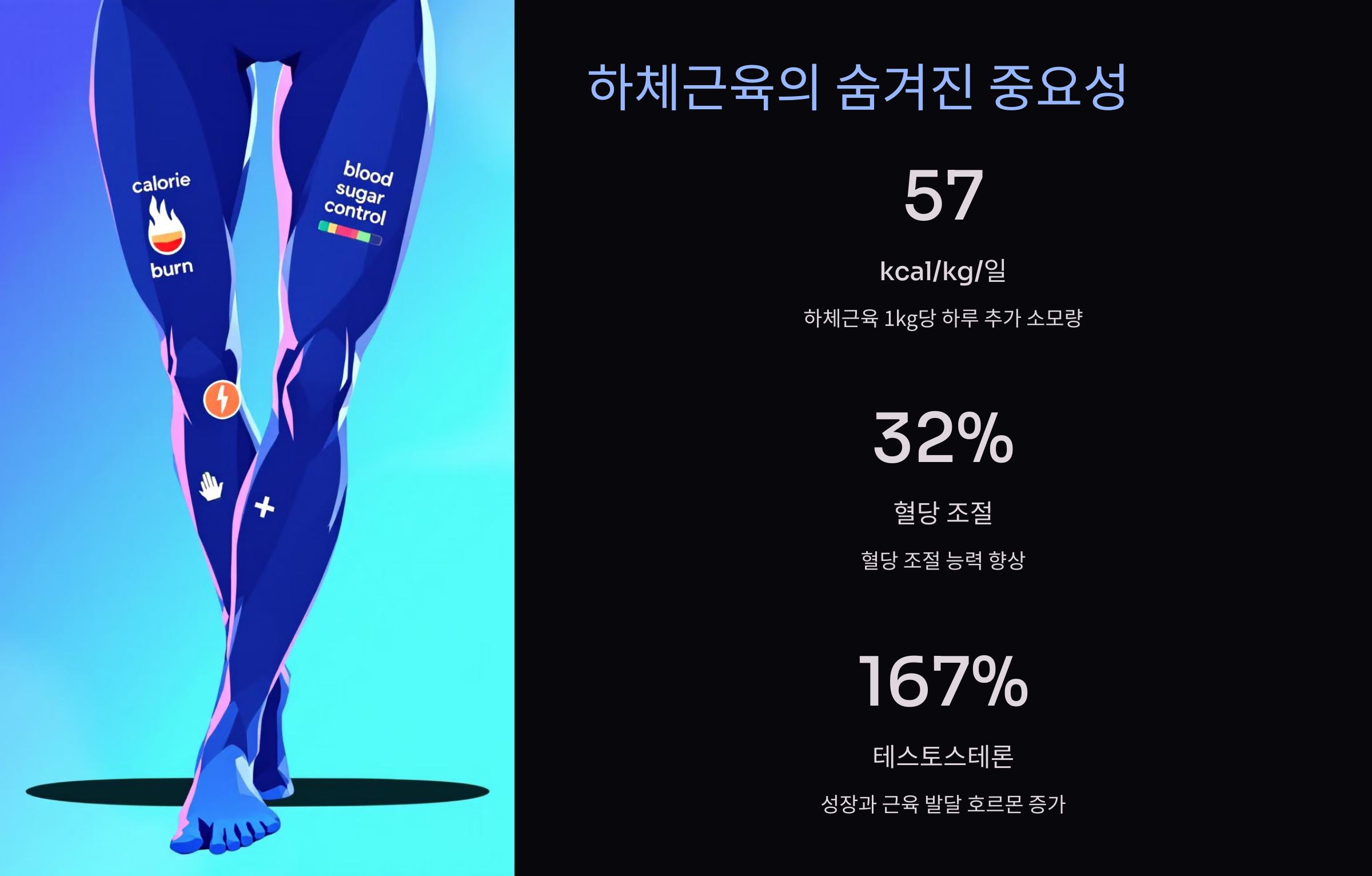 하체근육강화운동 하체근육명칭 중요성