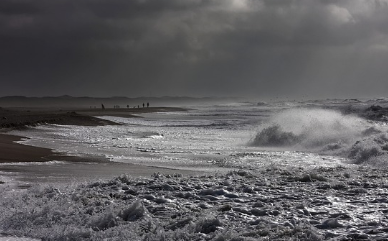 전국-해수욕장-개장일