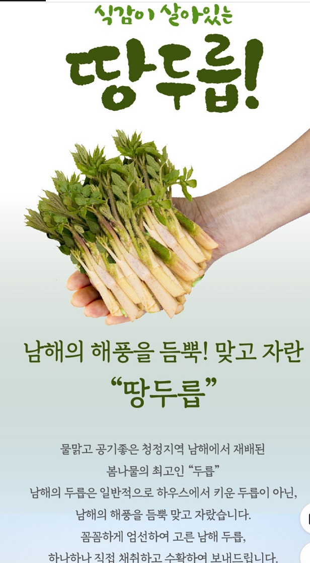 생생정보-남해-땅두릅-짱구농산