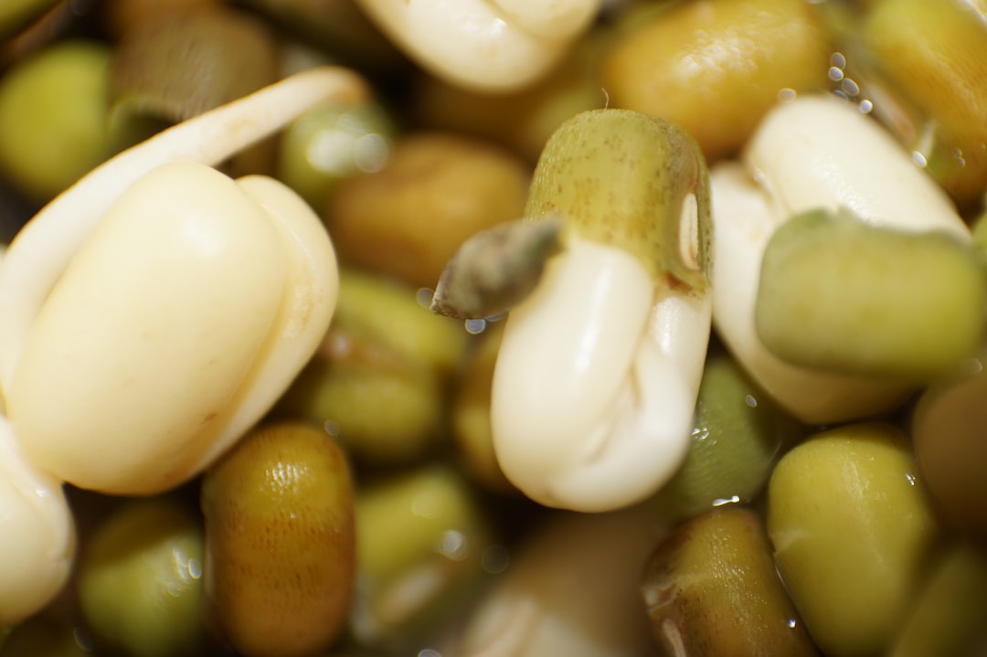 bean sprouts