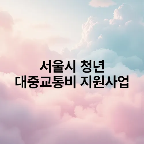 서울시 청년 대중교통비 지원사업