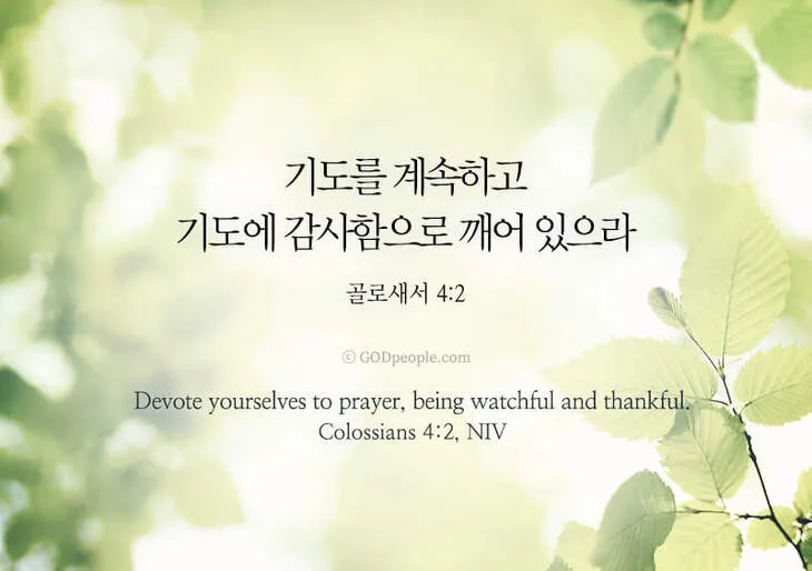 골로새서 2장 7절 묵상 - 그 안에 뿌리를 박으며 세움을 받아 교훈을 받은 대로 믿음에 굳게 서서_4