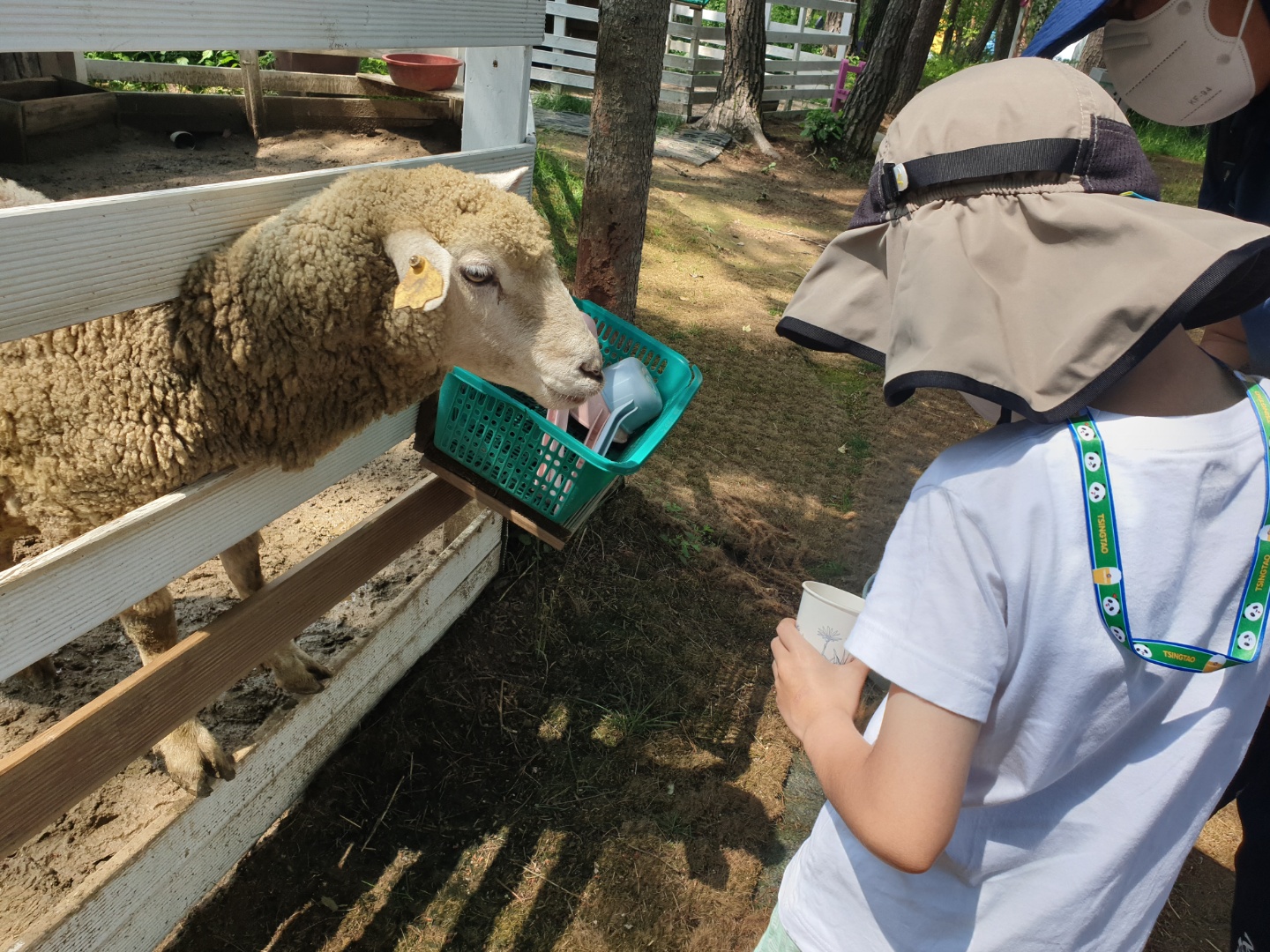 강원도평창가볼만한곳 6